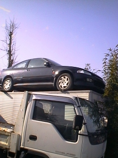 イメージ 4