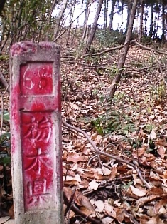 イメージ 7