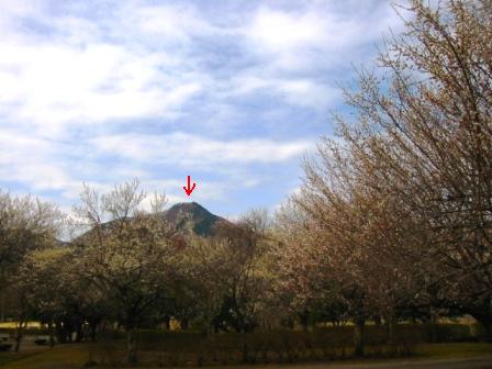 イメージ 11