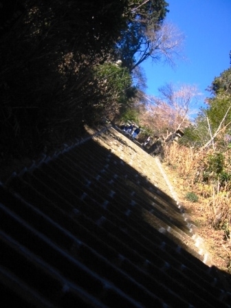 イメージ 7