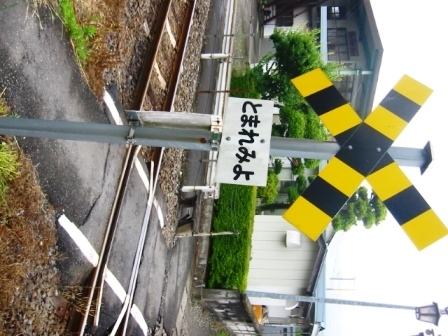 イメージ 7
