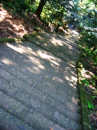 イメージ 6