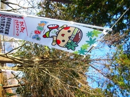 イメージ 3