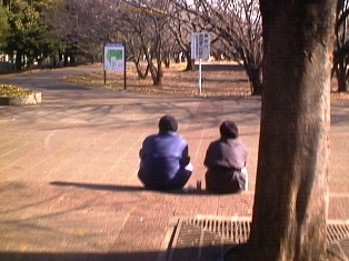 イメージ 8