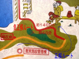 イメージ 11