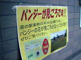 イメージ 4