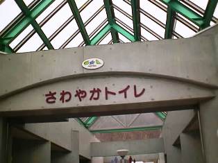 イメージ 6