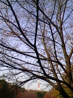 イメージ 2