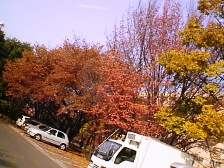 イメージ 7
