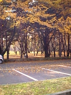 イメージ 8