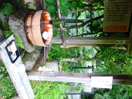 イメージ 6