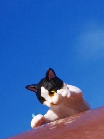 イメージ 3