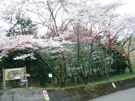 イメージ 5