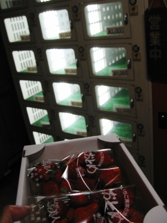 イメージ 2