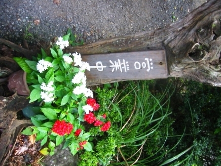 イメージ 10