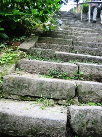 イメージ 12