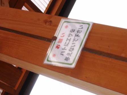 イメージ 7