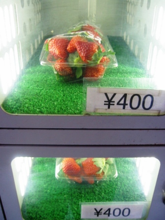 イメージ 2