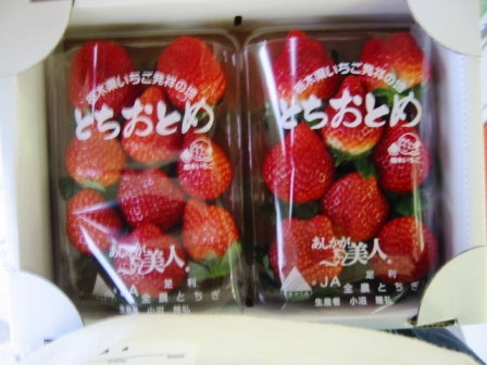イメージ 3
