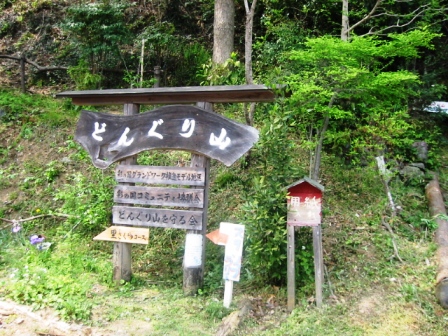 イメージ 13