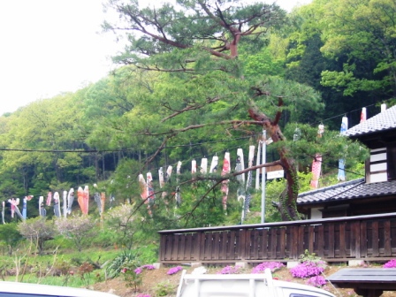 イメージ 2