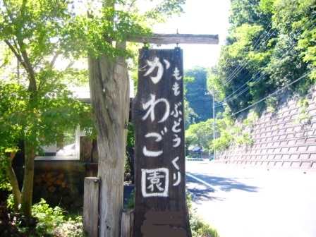 イメージ 6