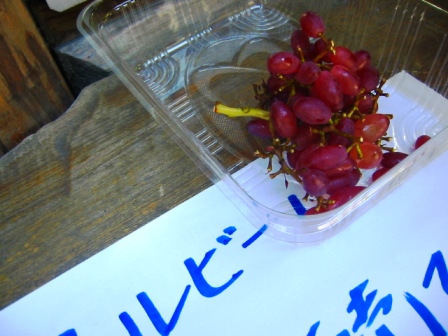 イメージ 7
