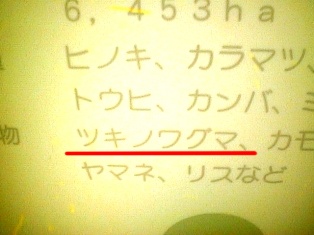 イメージ 19