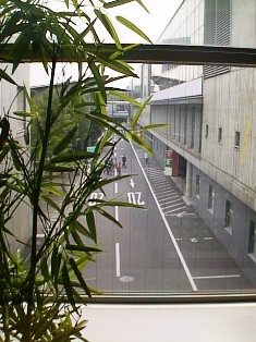 イメージ 1