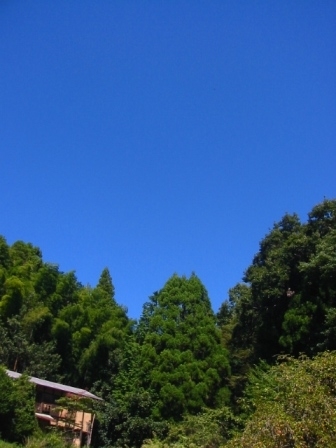 f:id:hateruna-yan:20191028204916j:plain