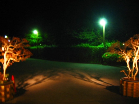 f:id:hateruna-yan:20191112175014j:plain