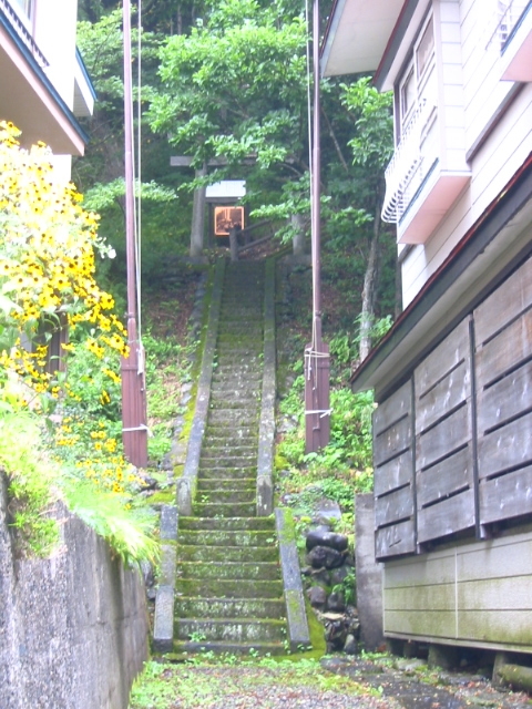 f:id:hateruna-yan:20191203225207j:plain