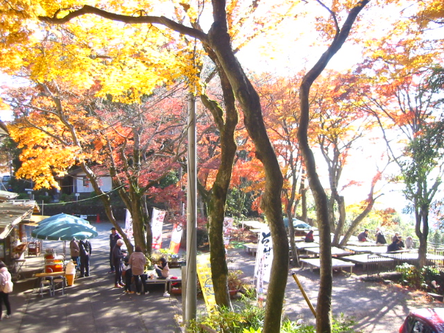 f:id:hateruna-yan:20191210053938j:plain