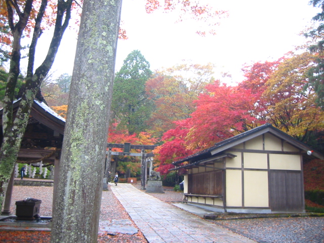 f:id:hateruna-yan:20191213230342j:plain