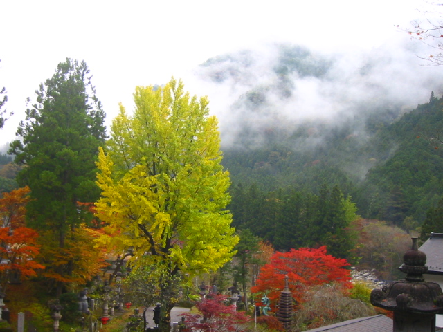 f:id:hateruna-yan:20191217210726j:plain