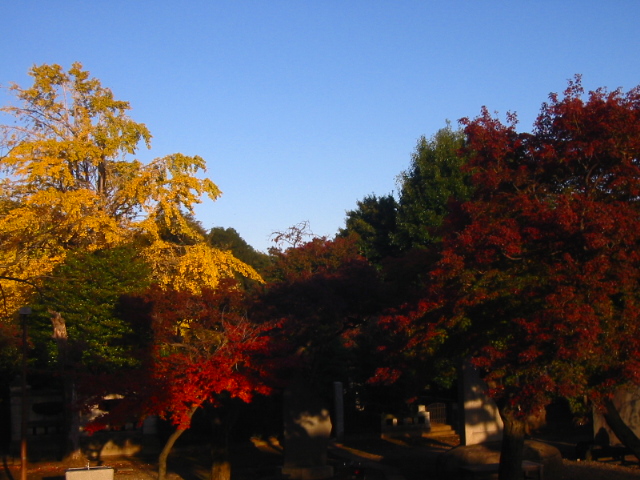 f:id:hateruna-yan:20191224174803j:plain