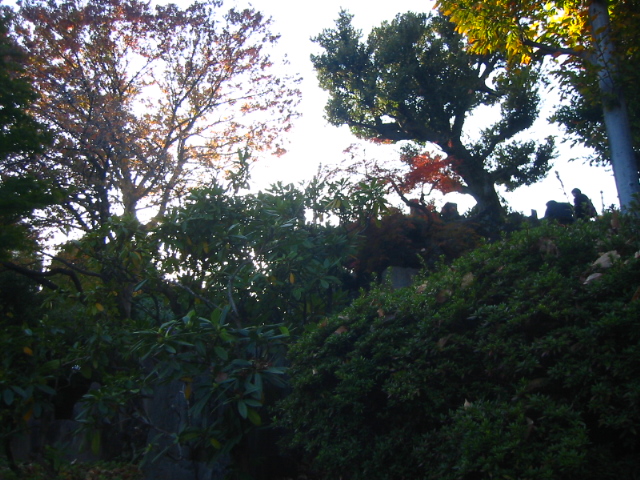 f:id:hateruna-yan:20191224175202j:plain