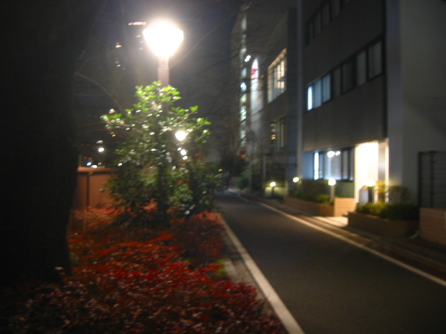 f:id:hateruna-yan:20191231193555j:plain