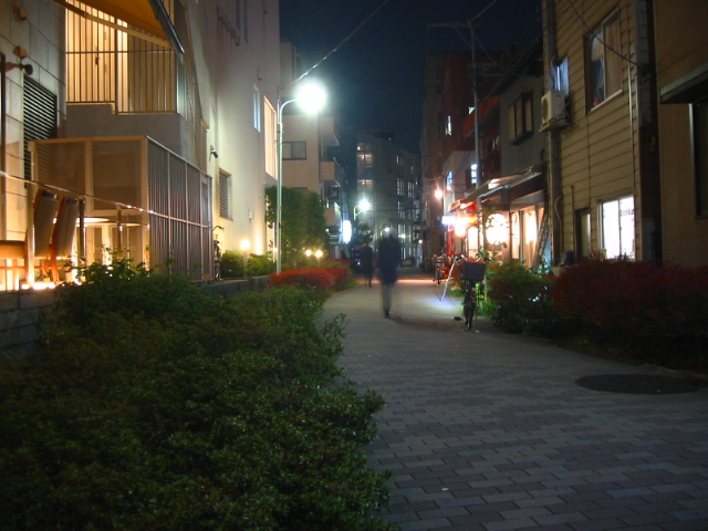 f:id:hateruna-yan:20191231194244j:plain