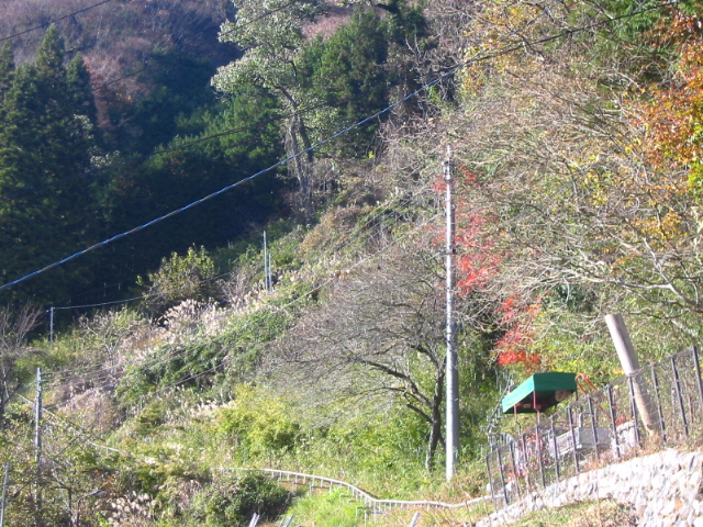 f:id:hateruna-yan:20200206205409j:plain