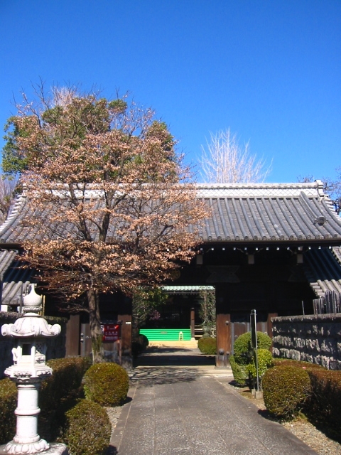f:id:hateruna-yan:20200211215729j:plain