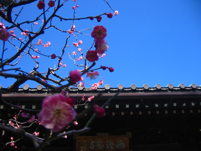 f:id:hateruna-yan:20200211215828j:plain