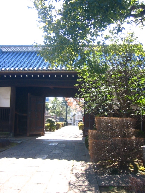 f:id:hateruna-yan:20200211215848j:plain