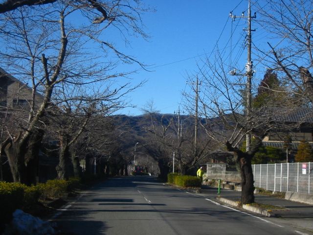 f:id:hateruna-yan:20200212210314j:plain