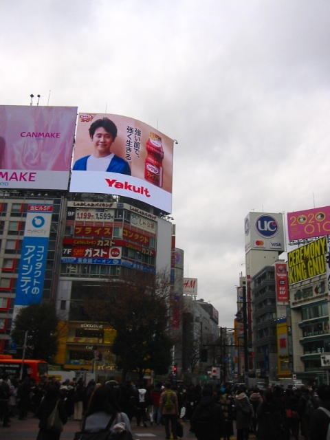 f:id:hateruna-yan:20200213055621j:plain f:id:hateruna-yan:20200213055621j:plain