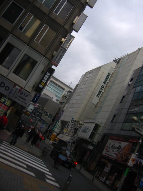 f:id:hateruna-yan:20200213061140j:plain f:id:hateruna-yan:20200213061140j:plain
