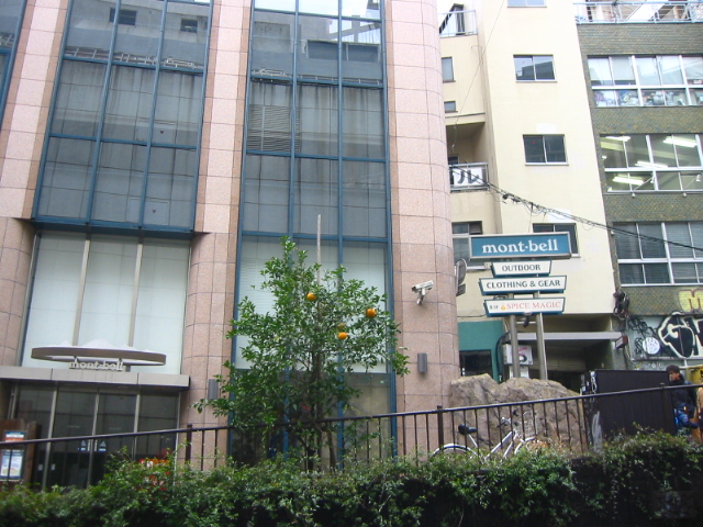 f:id:hateruna-yan:20200213061335j:plain