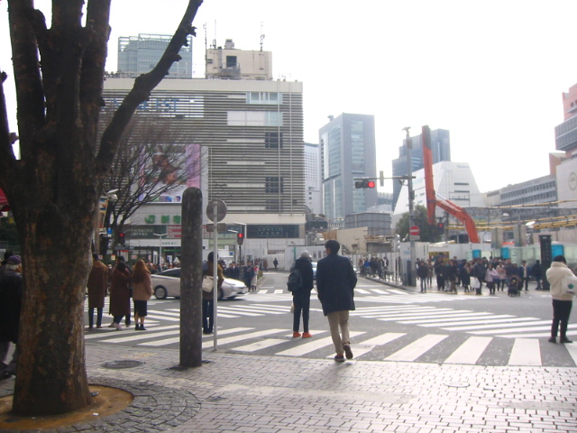 f:id:hateruna-yan:20200214211213j:plain