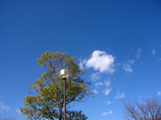 f:id:hateruna-yan:20200224032911j:plain