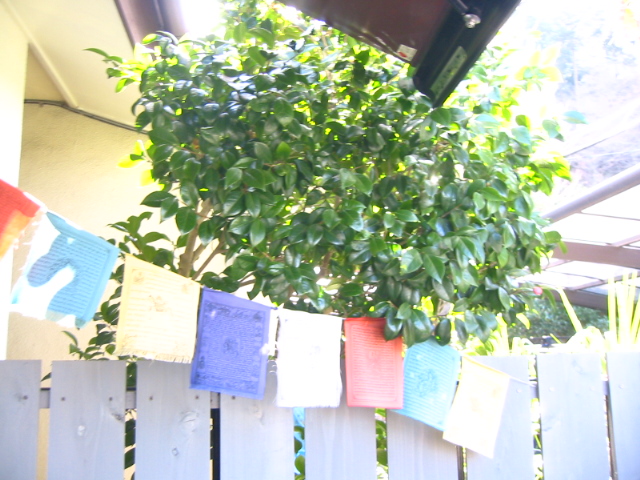 f:id:hateruna-yan:20200225000012j:plain